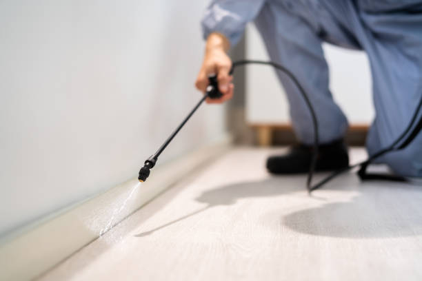 Licensed Termite Control service in Madisonville, TN - Nex Pest Control