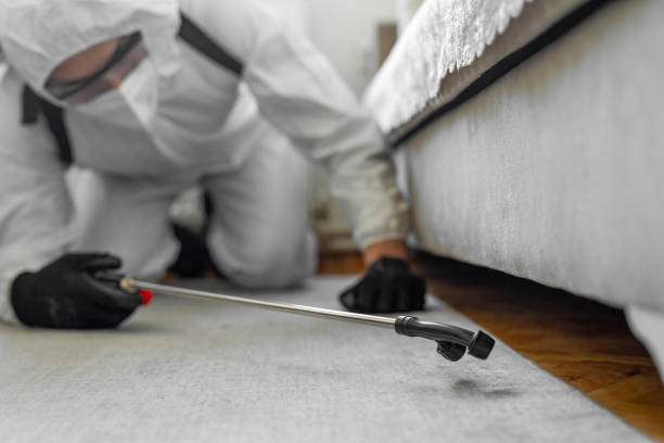 Professional Termite Control technician working in Madisonville, TN
