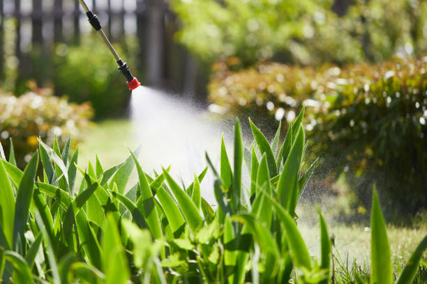 24/7 Emergency Termite Control experts in Madisonville, TN